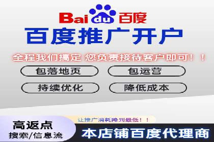 百度广告投放技巧及效果评估案例